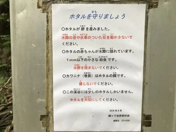 看板張り紙