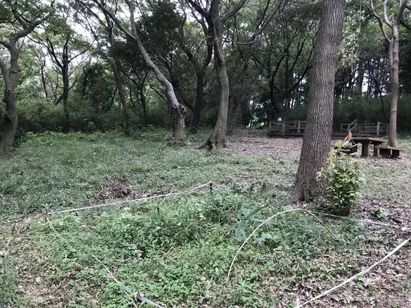 何かあるのでしょうか？