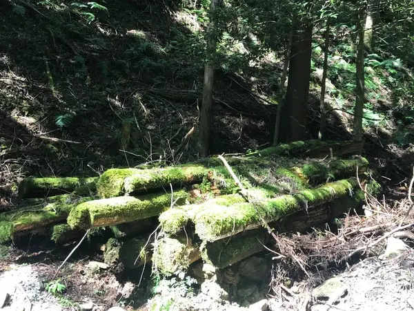 ジブリっぽい風景を見かけたので撮っておきました