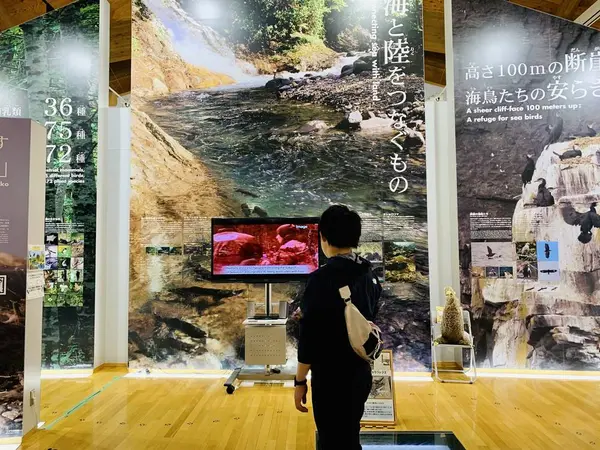 展示物