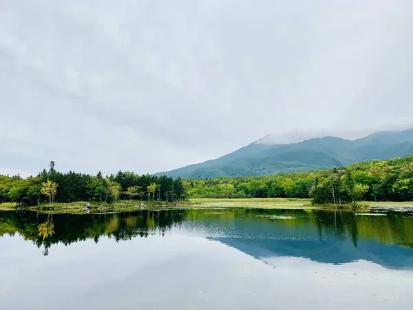地上遊歩道コース①