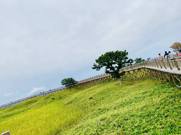 高架木道