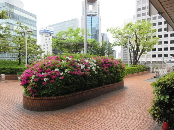 憩いの場