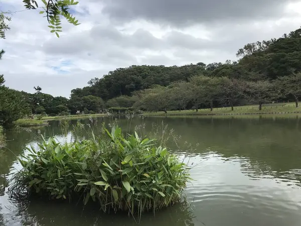浮島風味の小島まで