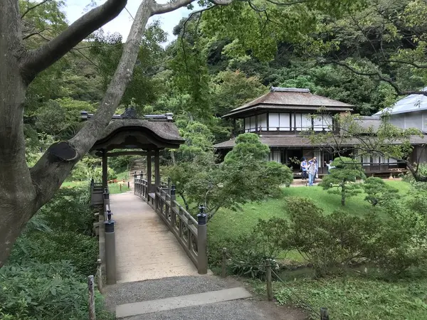 計算し尽くされた美