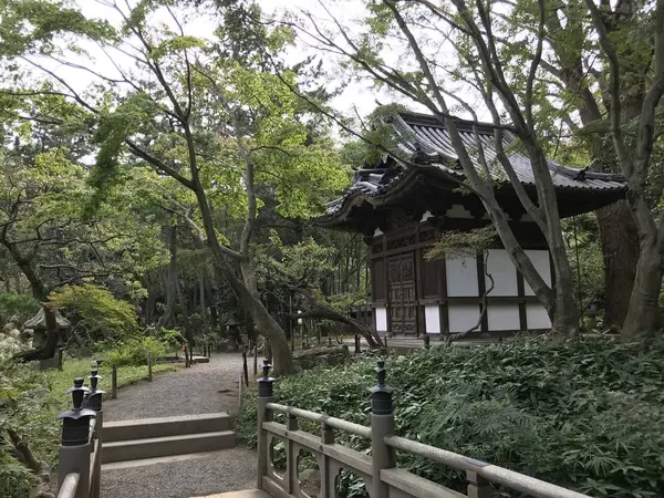 鎌倉に行く事もなく