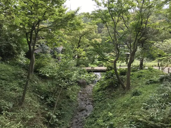 奥に滝があったと思います。