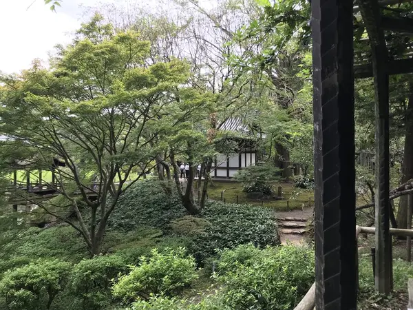 翠嵐とでも表しますか？
