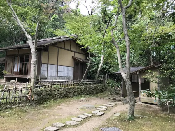 茶室も多く有ります。