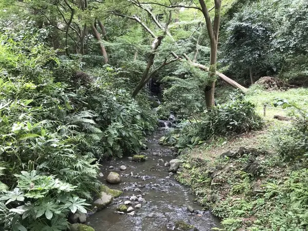 滝はコッチだったw