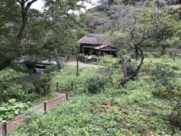 外苑で建物の多いエリア