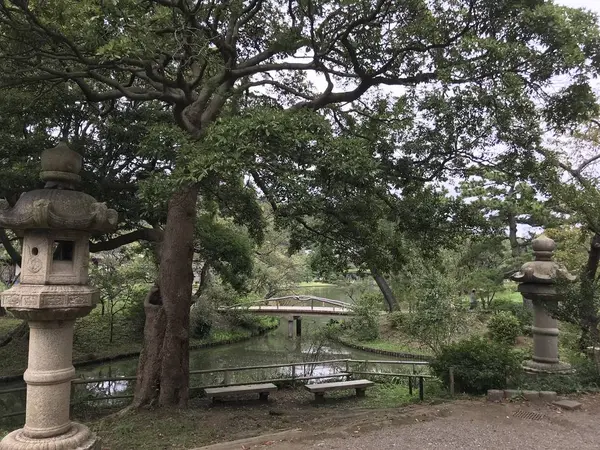 変わった桜です。