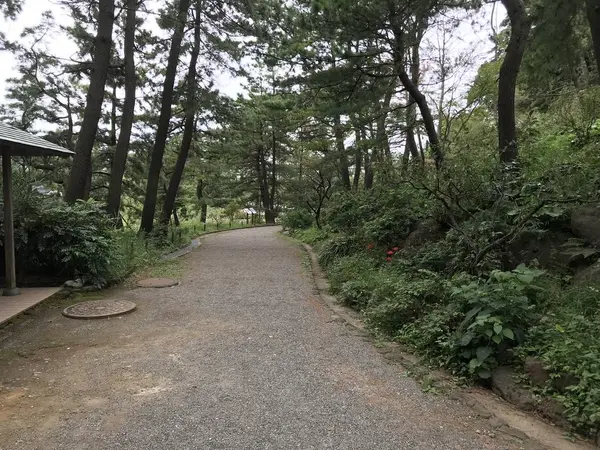 三渓園南口へ