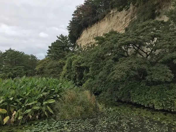 旧本牧海岸