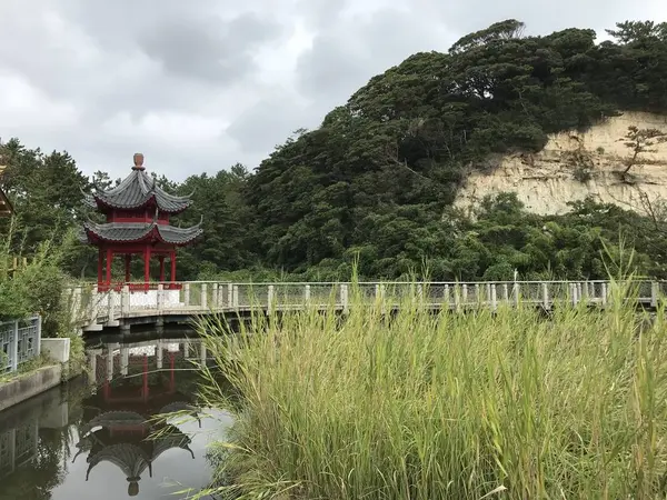 水面が僅かにw