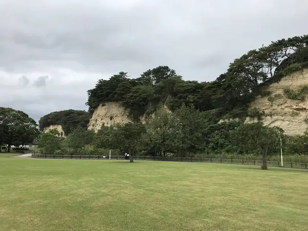 遠景の方が