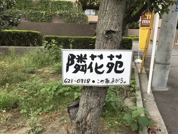 本日のお昼