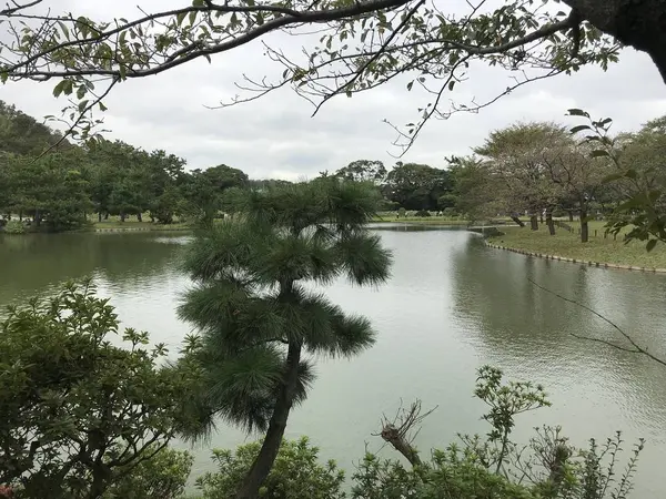 という事で三渓園レポ終了。