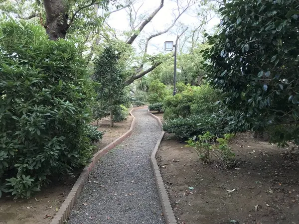 遊歩道を歩きます。