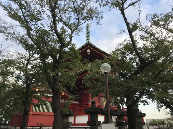 木々の隙間から