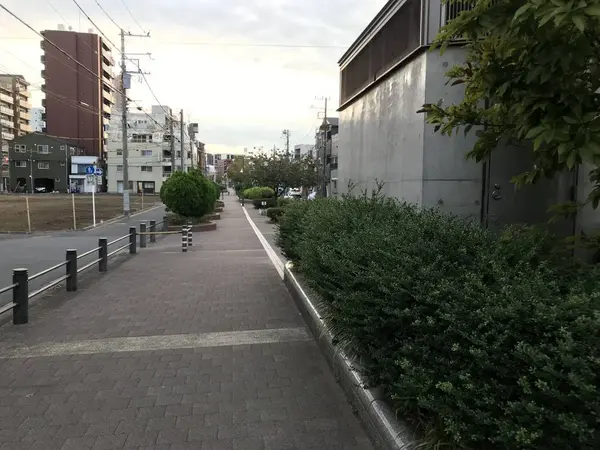 飽きて来たので