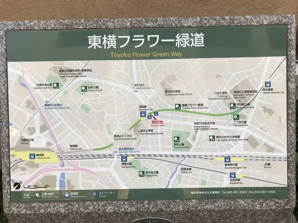 と思ったら・・・