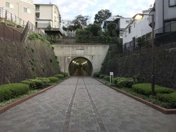 やっと来ました。