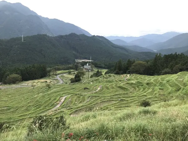 稲刈り前に訪れてみたい