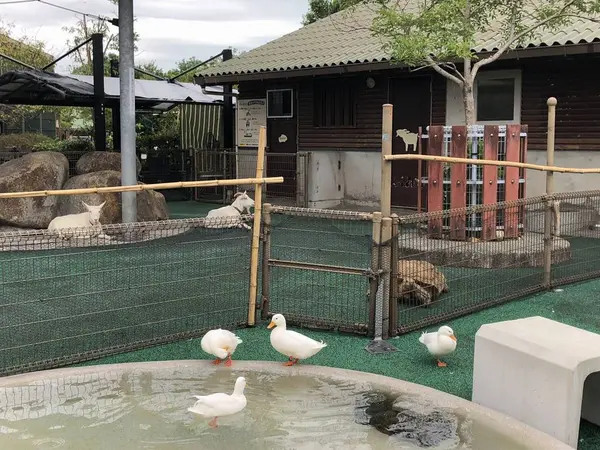 ふれあい広場