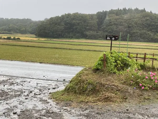 田舎に囲こまれる珈琲工房
