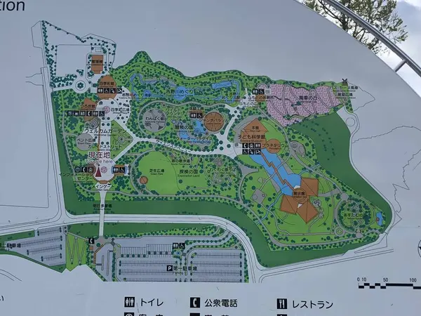 スポット内のおすすめ