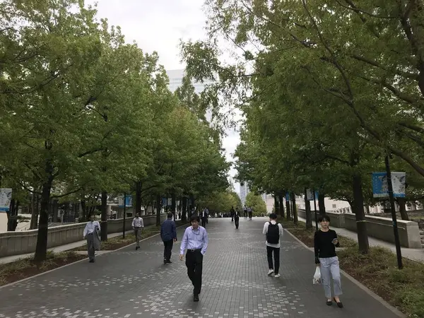 並木が美しい。