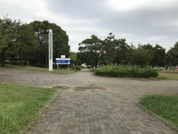 キング軸終点