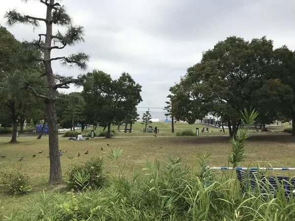 芝生の広がる気持ち良い公園