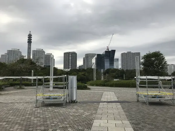 花火大会復活♪