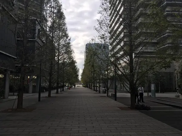 海側からスタート