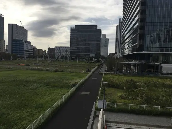 因みにキング軸w