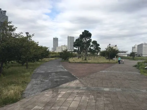 水際線公園