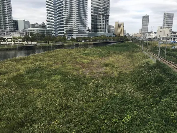 未開拓地w