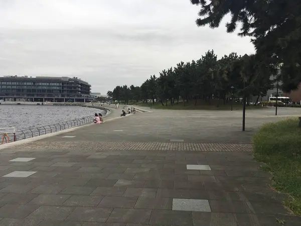 海沿いは一大グリーンベルト
