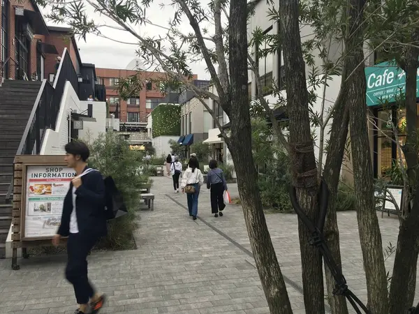 まぁ、観光には持って来いかと
