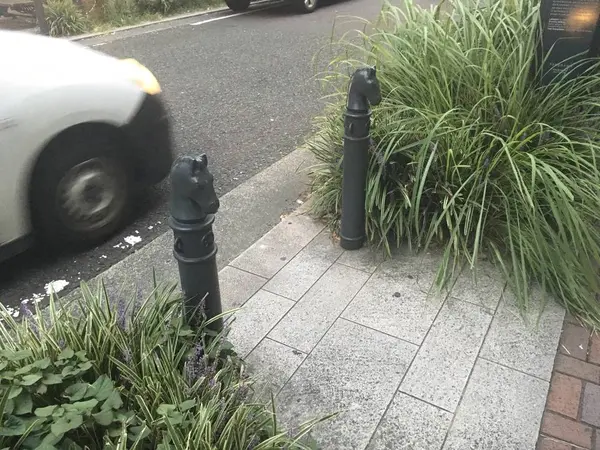 なんだかよく分からないポールもw