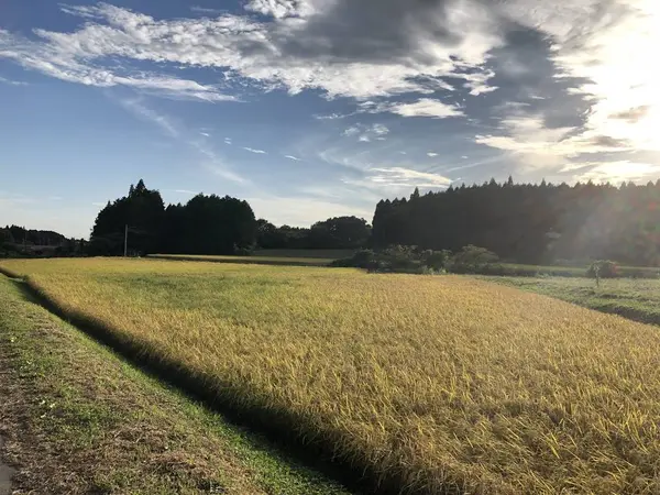 サイクリングルート 復路⑤
