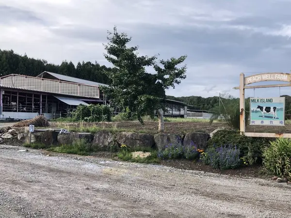 サイクリングルート 復路③