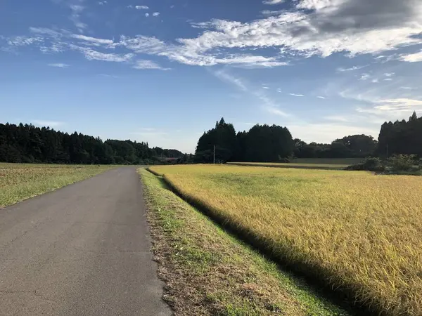 サイクリングルート 復路④