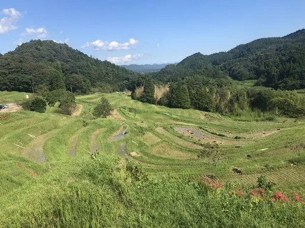 9月 彼岸花が咲く棚田
