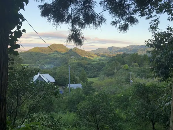 車を降りて山道を登ります