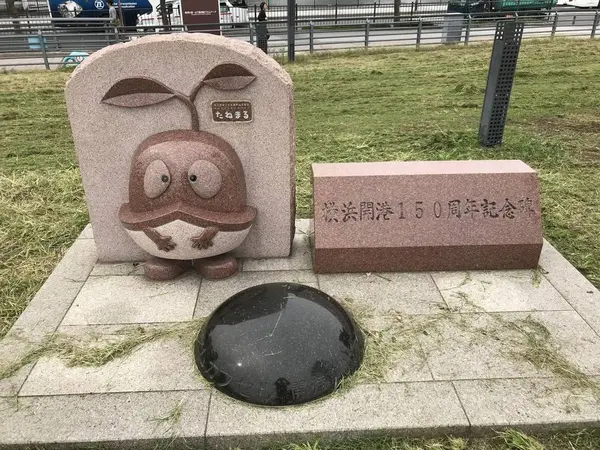 出ました、「たねまる」