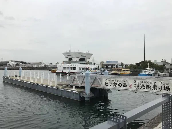 ピア象の鼻