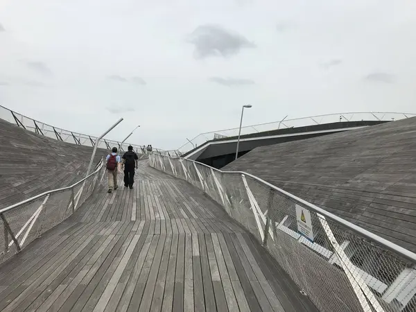 くじらの背中へ